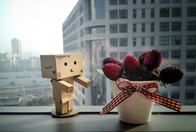 robotandberry